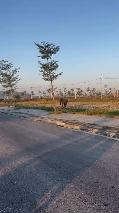 Đất mặt tiền Quảng Ngọc, Quảng Xương 120m² giá chỉ 6 triệu - Cơ hội đầu tư tuyệt vời!