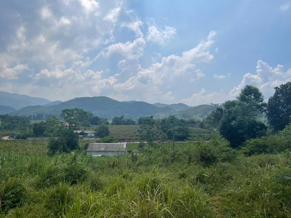 Đất nền Khánh Thượng, Ba Vì 2880m² giá chỉ 1 triệu/m² - Sổ đỏ chính chủ, view cánh đồng thoáng đẹp!