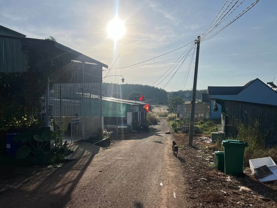 Đất nền khu phố 5, Tiến Thành, 120m² giá 520 triệu - Cơ hội đầu tư hấp dẫn!