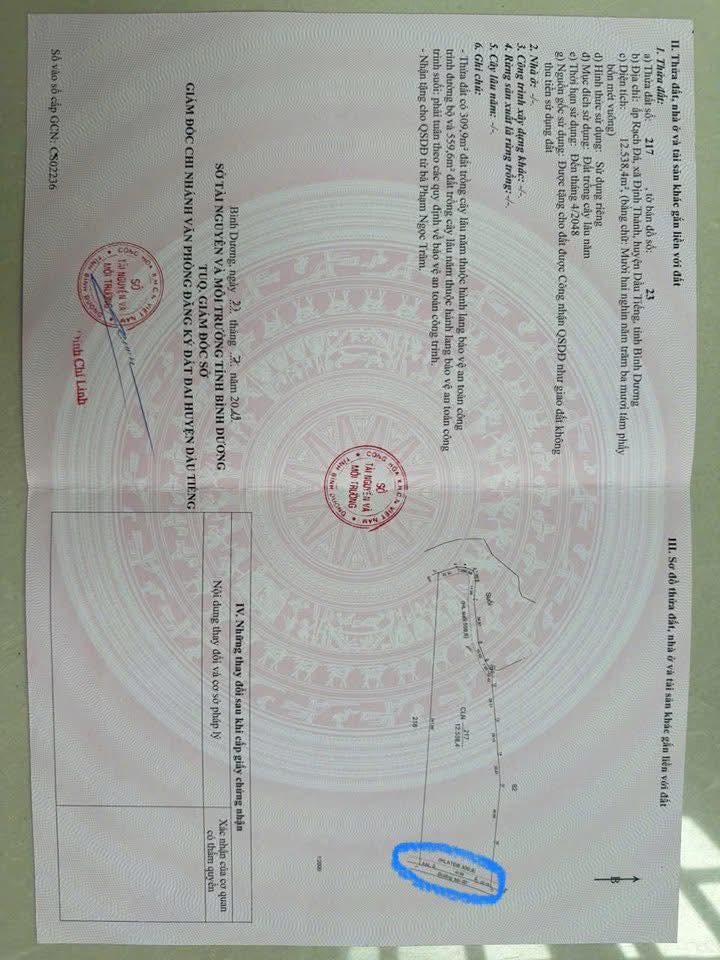 Đất Farm 1,3ha tại Định Thành, Dầu Tiếng - Giá chỉ 6,5 tỷ!