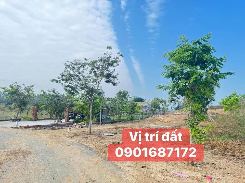 Đất farm Suối Rao - Châu Đức 2000m² giá 8 tỷ - Lợi nhuận cao từ nuôi trồng!