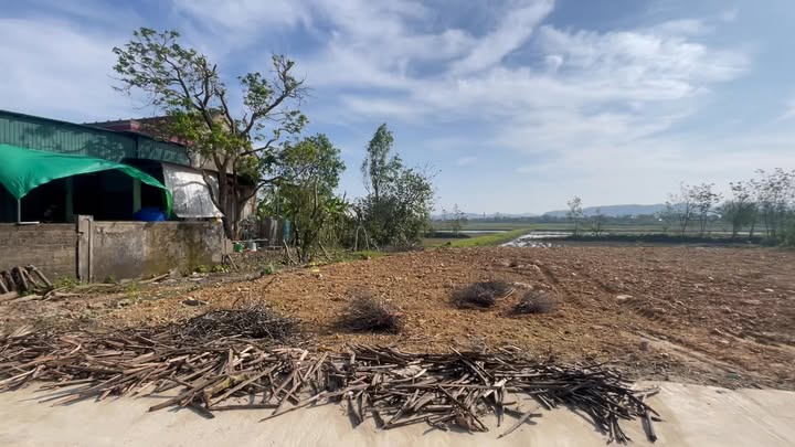 Đất nền Kim Liên, Nam Đàn 213m² giá thỏa thuận - Sổ hồng chính chủ, pháp lý rõ ràng!