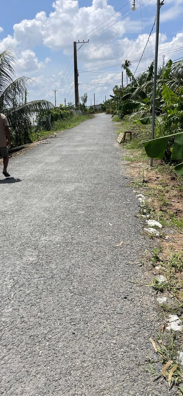 Đất nền Tân Lược Vĩnh Long 84m² giá chỉ 379 triệu - Tặng nhà xây sẵn!