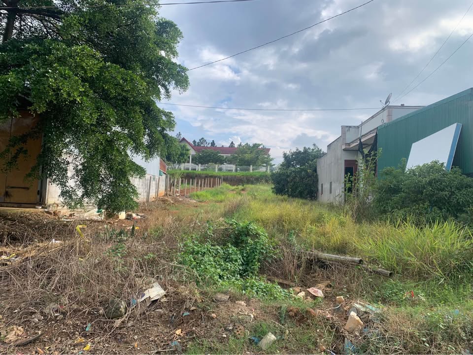 Đất nền Quốc lộ 20, Ninh Gia, Lâm Đồng 257m² - Vị trí đẹp, tiện kinh doanh!