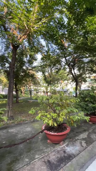 Nhà mặt tiền KDC Lý Chiêu Hoàng, Quận 6, 68m² - Chính chủ bán gấp!