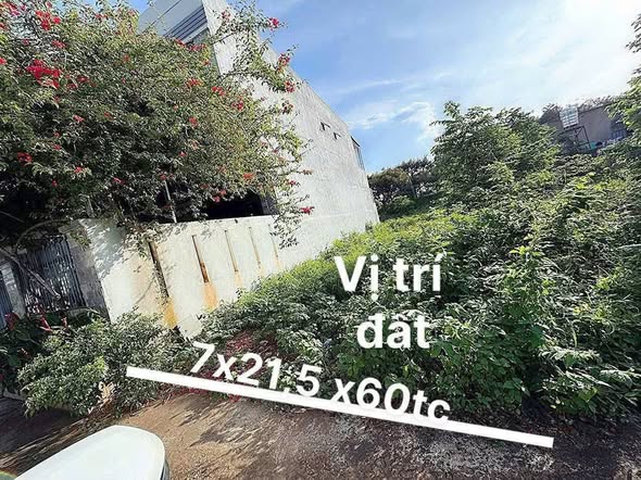 Đất thổ cư Hòa Long Bà Rịa 147m² giá chỉ 1 tỷ - Đường ô tô rộng rãi!