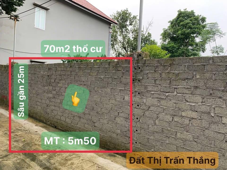 Đất nền Thị Trấn Thắng, Bắc Giang 142m² giá 600 triệu - Cơ hội đầu tư không thể bỏ lỡ!