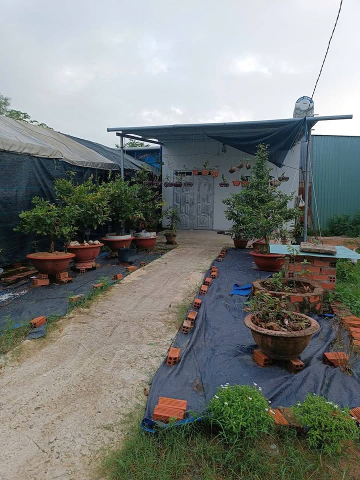 Nhà bán gấp Long Phước 125m² giá 900 triệu - Vị trí thuận lợi, dân cư đông đúc!