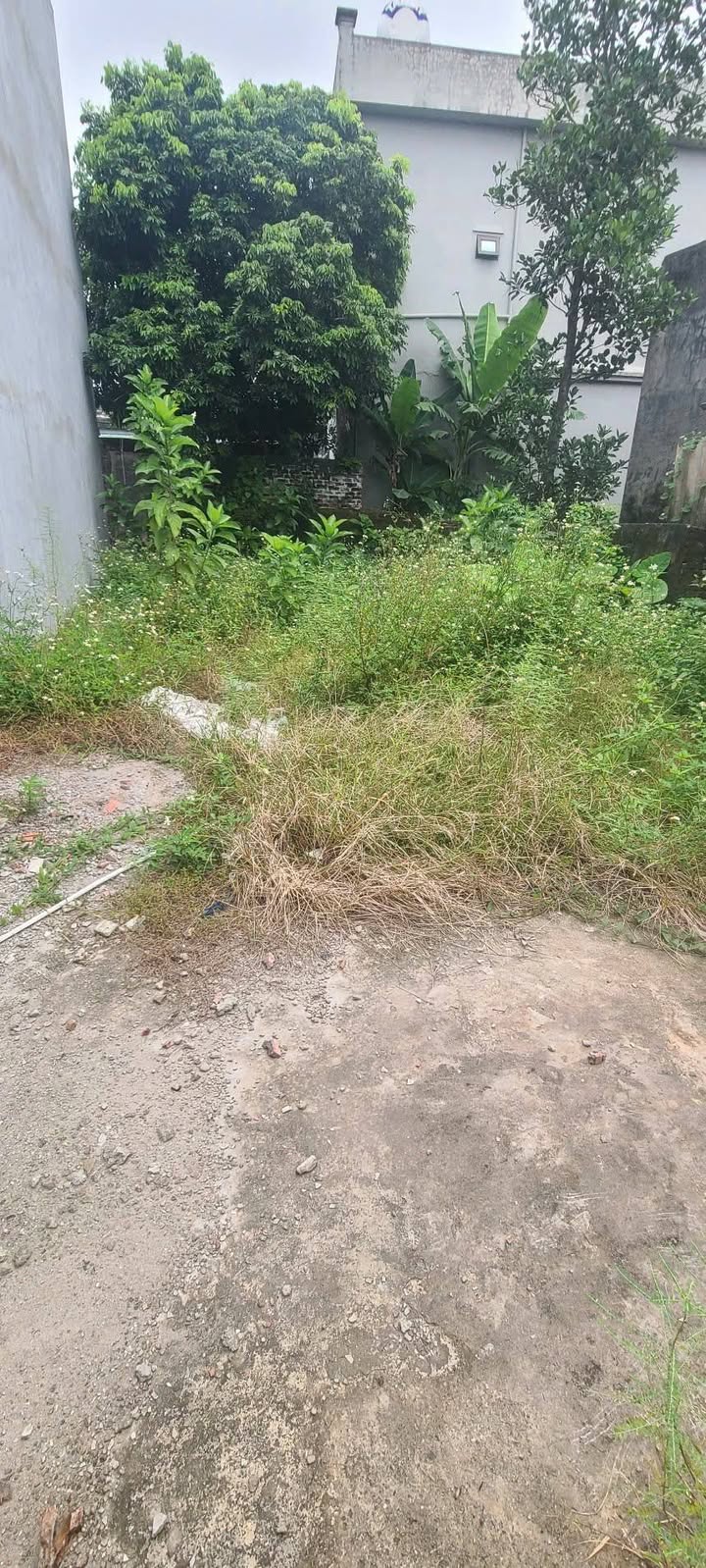 Đất thổ cư Vũ Thư 61m² giá thương lượng - Kinh doanh sầm uất!