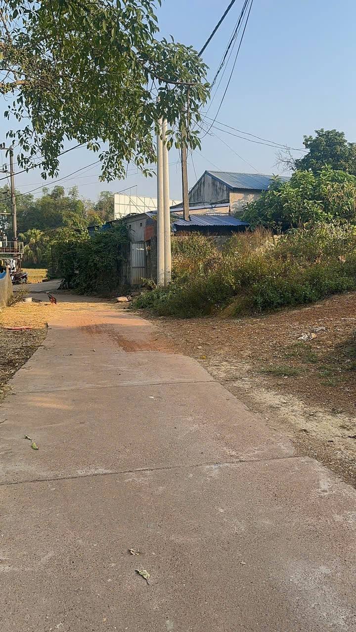 Đất nền Phú Xá 278m² giá chỉ 7 triệu/m² - Đường ô tô vào tận nơi!