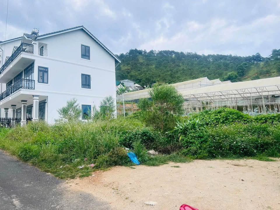 Đất xây dựng Thái Phiên Đà Lạt 100m² giá 3 tỷ - Đất đẹp, ô tô vào tận nơi!