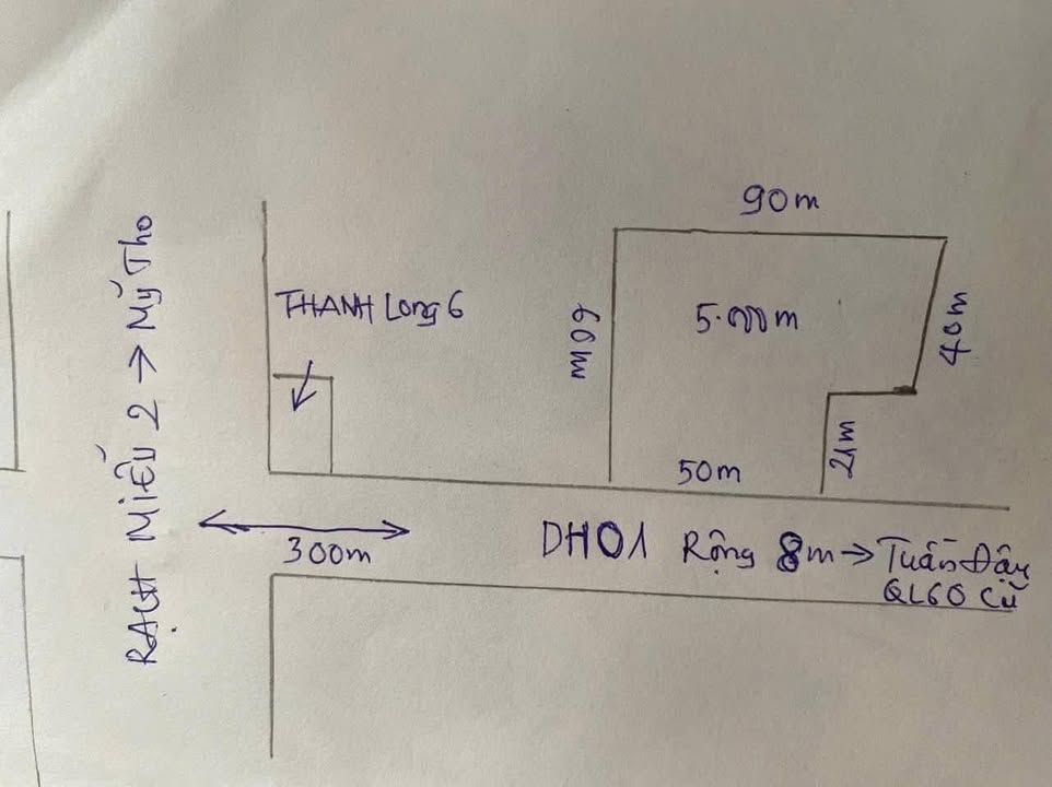 Đất nền xã Tam Phước, huyện Châu Thành, 5000m² giá thỏa thuận - Cơ hội đầu tư vàng!