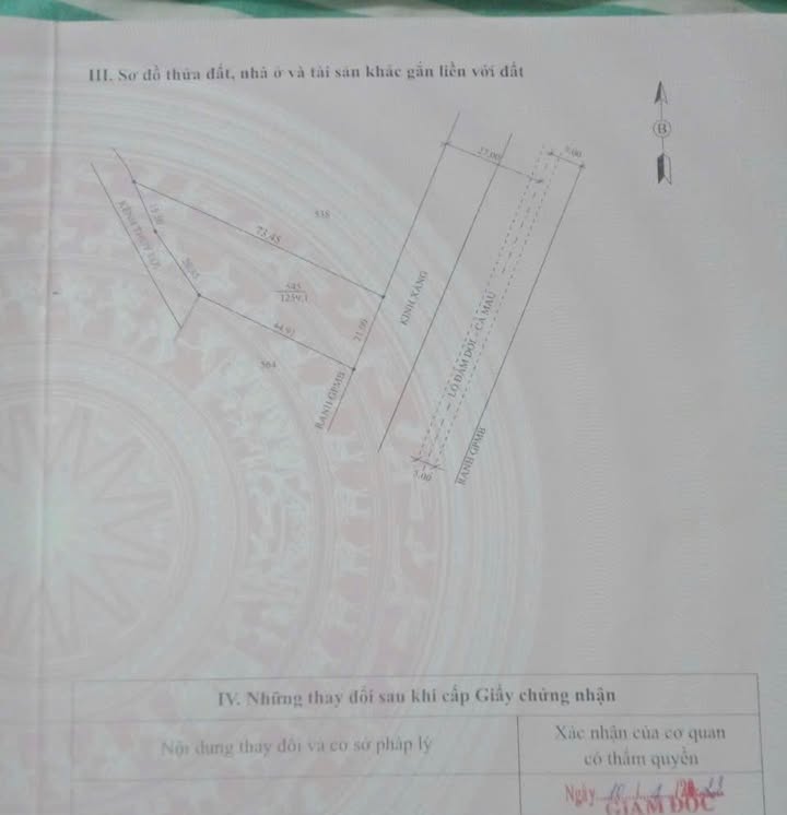 Đất nền Tân Trung Đầm Dơi 1,259m² giá chỉ 1,5 tỷ - Vị trí thuận lợi cho kho bãi!