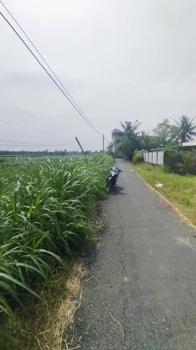 Đất nền đẹp Ấp Bình Hòa Đông, 220m² giá chỉ 360 triệu - Sổ đỏ chính chủ!