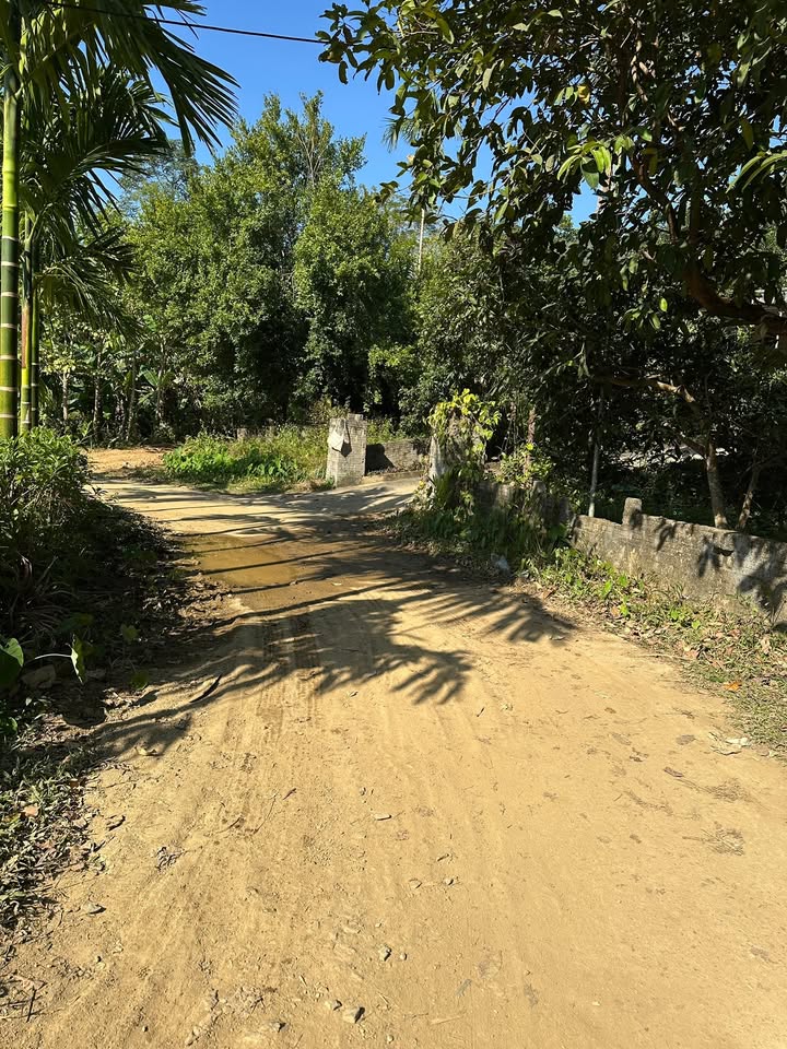 Đất nền Lạc Lương, Yên Thủy 4.600m² giá 1.7 tỷ - Đầu tư sinh lời cao!