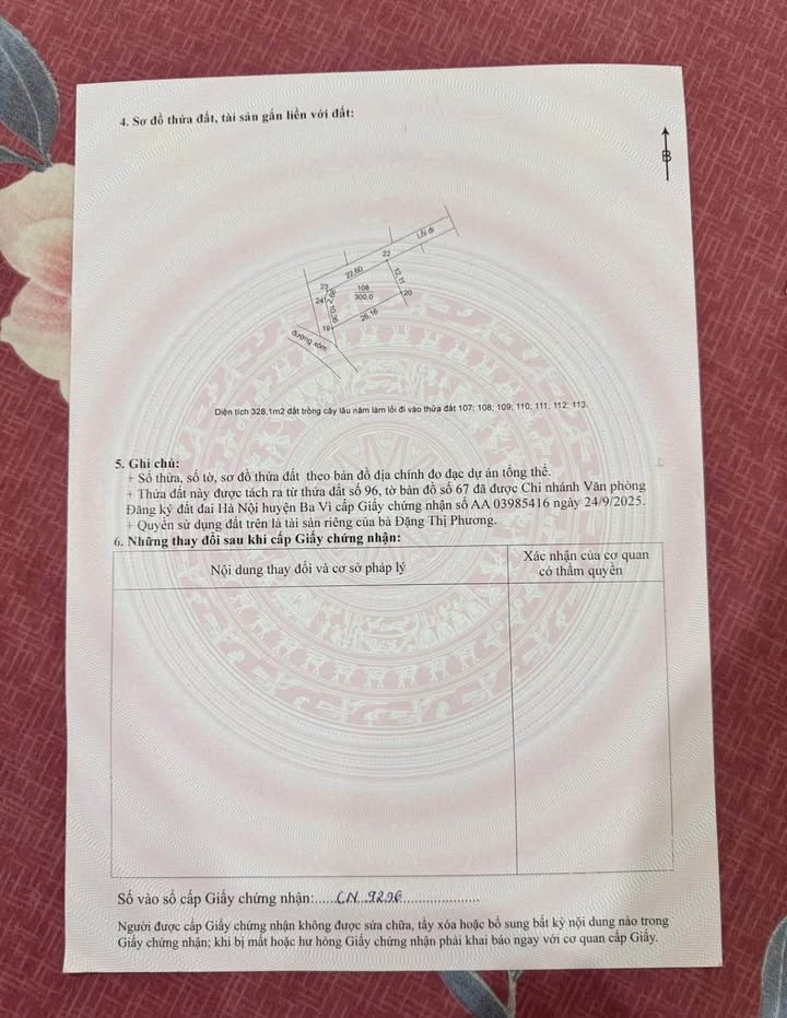 Đất nền thôn 7, xã Suối Hai, Ba Vì 300m² giá 2 tỷ - Cơ hội đầu tư tuyệt vời!