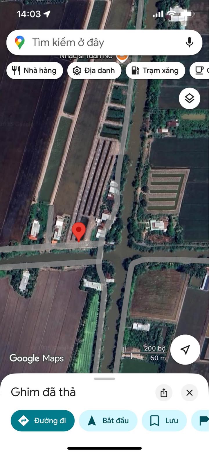 Đất lúa 850m² tại xã Bình Hàng Trung, Đồng Tháp - Giá chỉ 300 triệu!