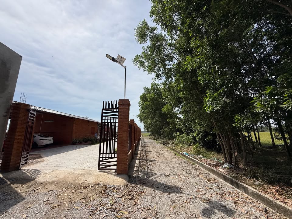 Đất 2 mặt tiền nhựa 1185m² tại Hảo Đước, Tây Ninh - Giá 1.68 tỷ - Tiềm năng phát triển lớn!