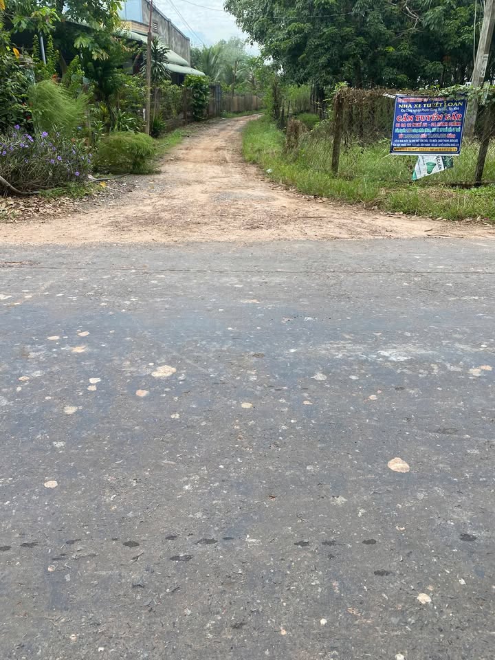 Đất nền 60.000m² tại Phước Vinh, Châu Thành, Tây Ninh - Giá chỉ 1.1 tỷ, cơ hội đầu tư tuyệt vời!