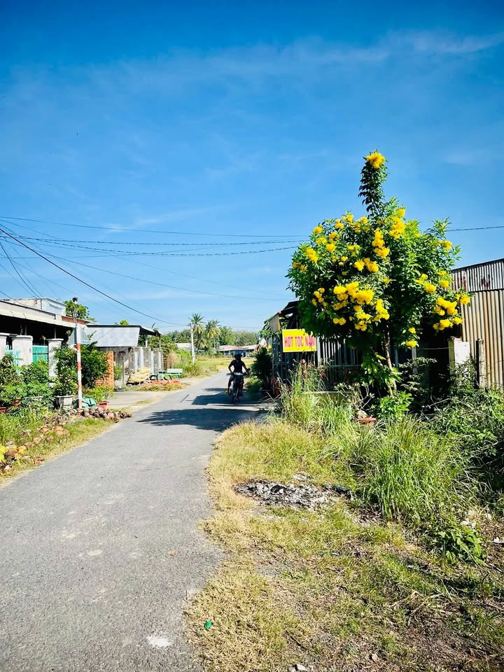 Đất thổ cư 80m² hẻm 21 Ngô Quyền, Tây Ninh - Giá chỉ 139 triệu!