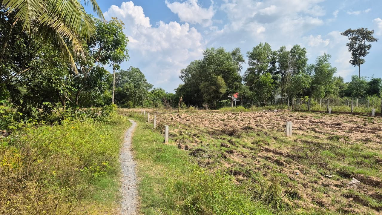 Đất nền Khu Phố 3, Thị Trấn Châu Thành, Tây Ninh - Diện tích 50m² chỉ 270 triệu - Cơ hội đầu tư hấp dẫn!