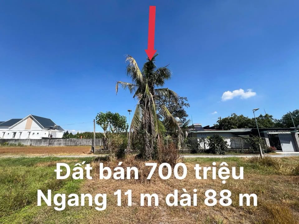Đất nền An Tịnh Trảng Bàng 968m² chỉ 700 triệu - Cơ hội đầu tư hấp dẫn!