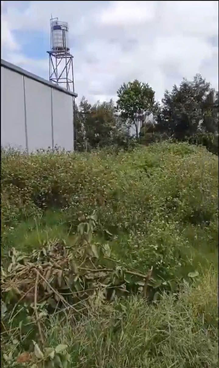 Đất Lộc Thành Bảo Lộc 120m² chỉ 450 triệu - Cơ hội đầu tư tuyệt vời!