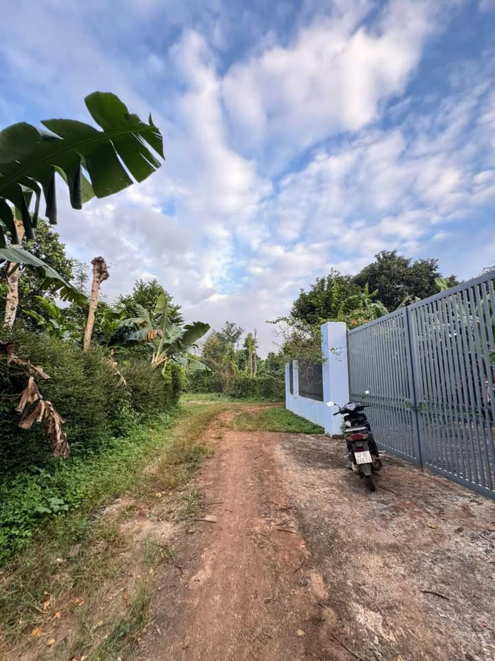 Đất thổ cư Hòa Khánh 230m² giá chỉ 750 triệu - Cơ hội đầu tư tuyệt vời!