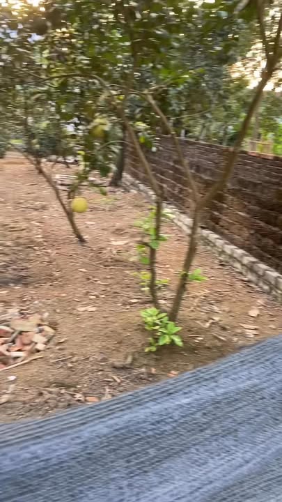 Đất nền Hạ Bằng, Thạch Thất 100m² giá thỏa thuận - Gần chợ và trường học!