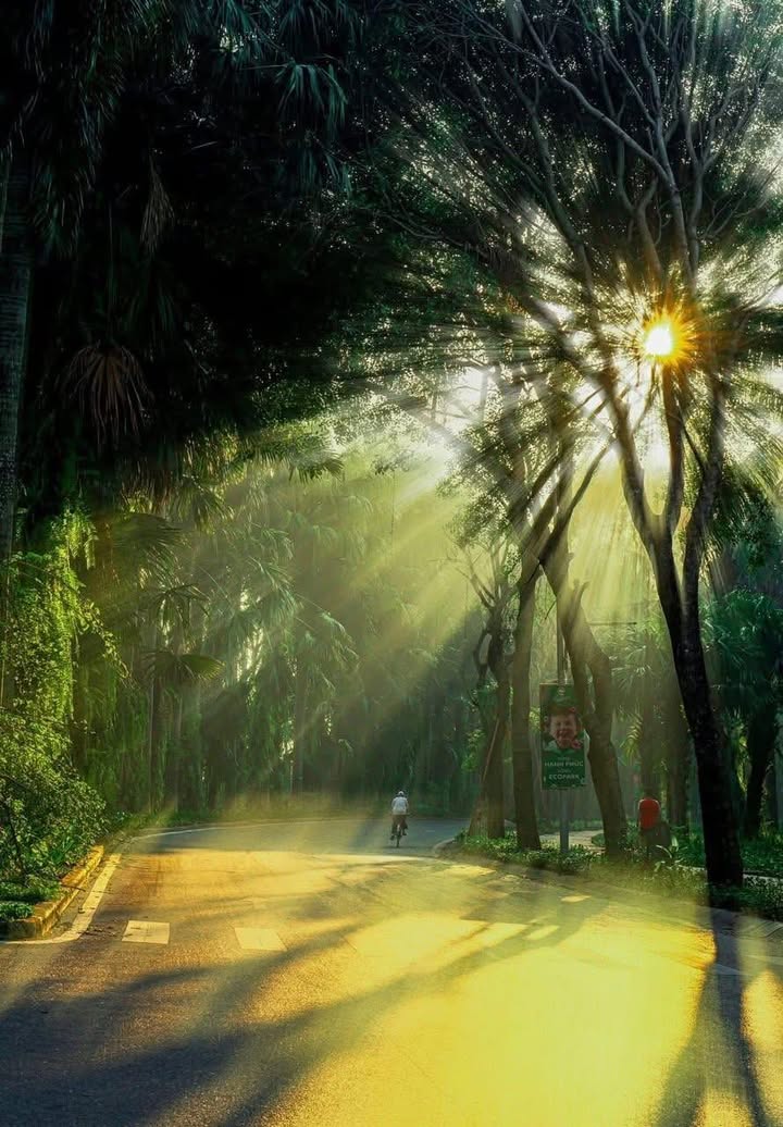 Nhà phố Trúc, Văn Giang 110m² giá 27 tỷ - Đầu tư sinh lời ổn định!