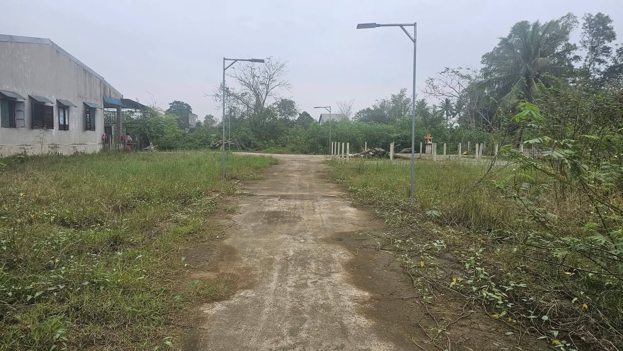 Đất Thủy Phù 100m² giá 530 triệu - Vị trí đắc địa gần Trạm thu phí