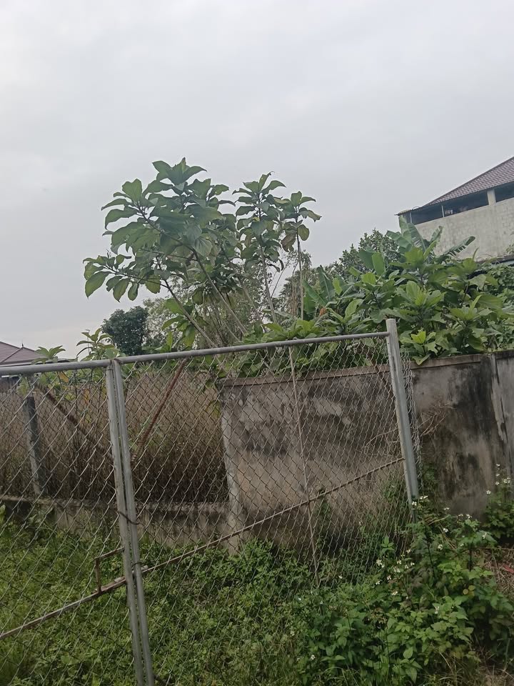 Đất nền Thạch Hà 360m² giá 2 tỷ - Chính chủ cần bán gấp!