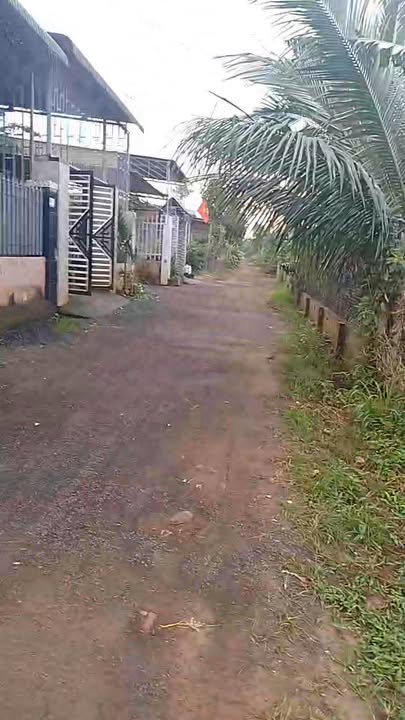 Đất thổ cư 460m² xã Hòa An giá chỉ 1 tỷ - Chính chủ cần bán gấp!