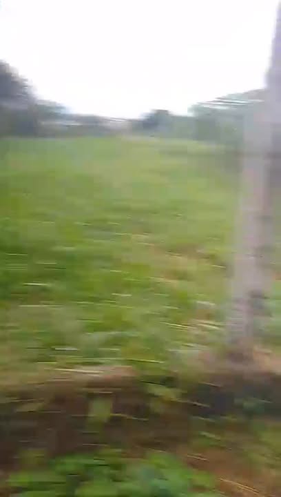 Đất thổ cư 463m² tại thôn Tân Lập, Hòa An - Chính chủ, giá 1 tỷ!