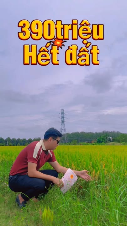 Đất thổ cư 140m² tại xã Truông Mít, giá 390 triệu - Sổ hồng riêng, không mồ mả!