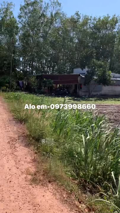 Đất nền Đồng Khởi, Châu Thành, Tây Ninh 1000m² giá chỉ 5.2 tỷ - Cơ hội đầu tư hấp dẫn!