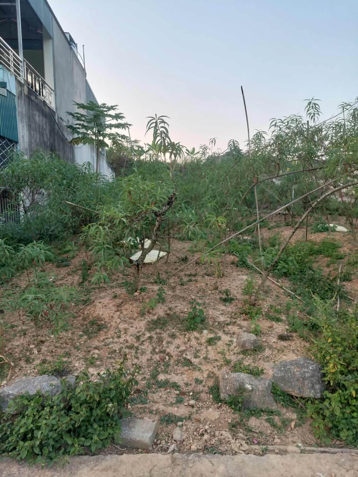 Đất nền đẹp tại Tổ 10, Nông Tiến, Tuyên Quang 150m² chỉ 1,2 tỷ - Vượng khí dồi dào!