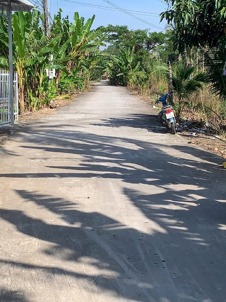 Đất vườn Trường Lạc Ô Môn 3.982m² giá 2.8 tỷ - Cơ hội đầu tư hiếm có!