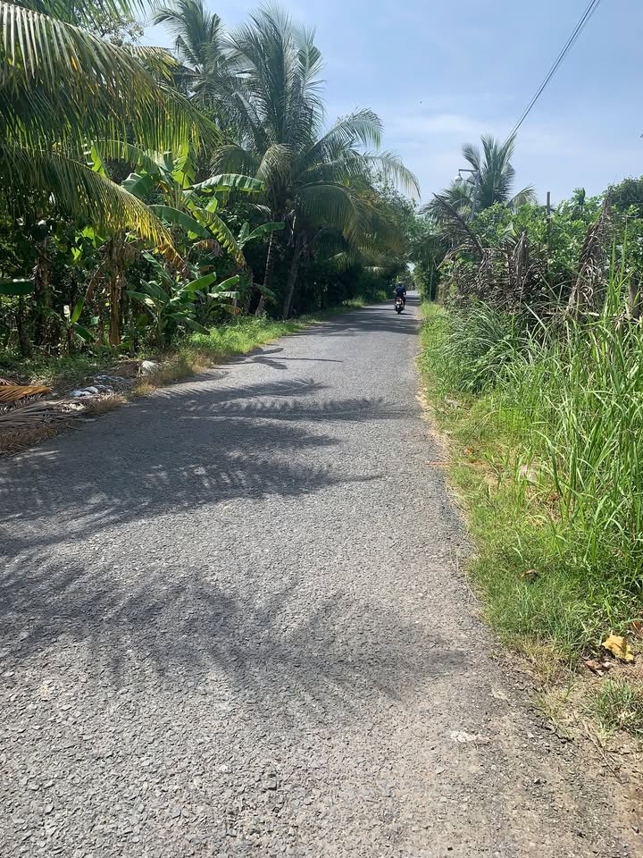 Đất ODT 120m² đường Nguyễn Viết Xuân, Cần Thơ - Cơ hội đầu tư hiếm có chỉ 1.1 tỷ!