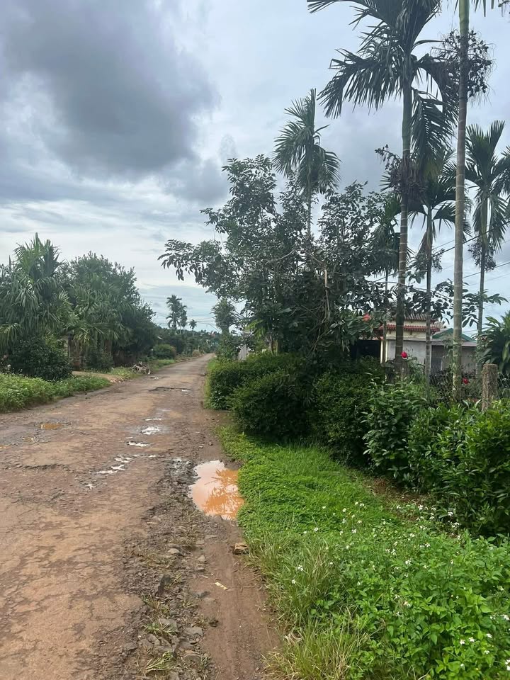 Đất nền Tam Giang 910m² giá 1.65 tỷ - Đầu tư sinh lời ngay trung tâm!