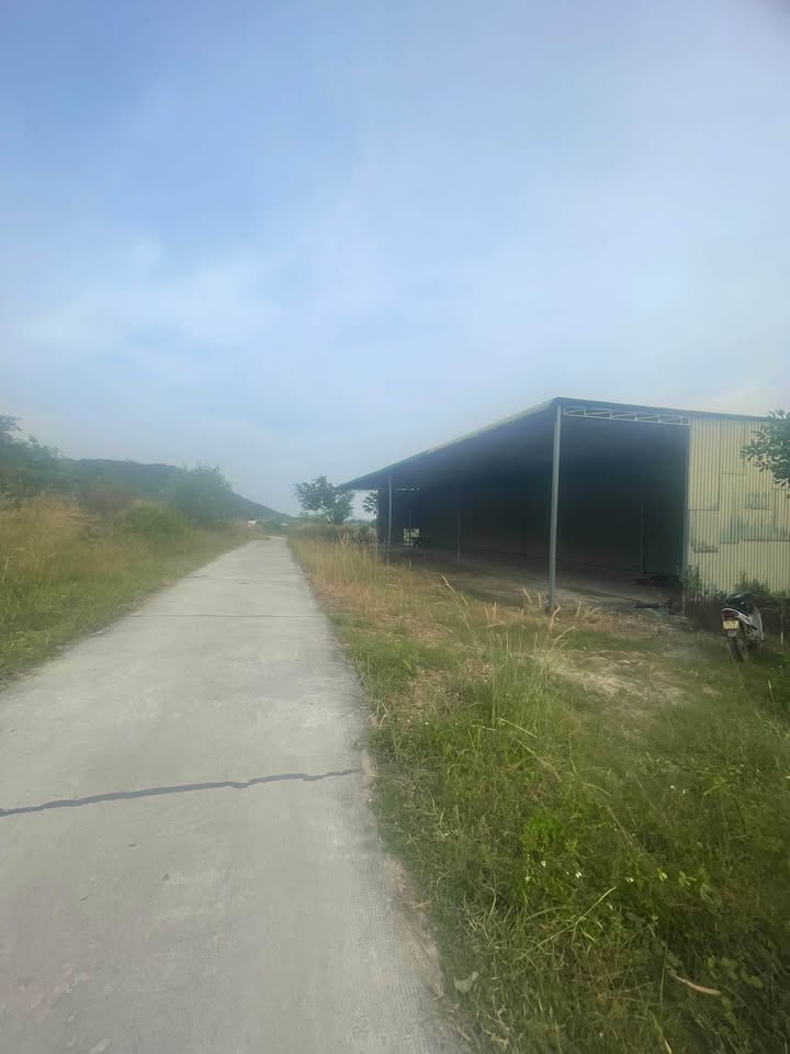 Farm 10.177m² tại Hàm Kiệm, Bình Thuận - Pháp lý rõ ràng, giá tốt!