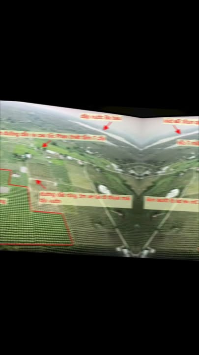 Vườn thanh long Hàm Kiệm 10140m² giá 1.6 tỷ - Cơ hội đầu tư hấp dẫn!