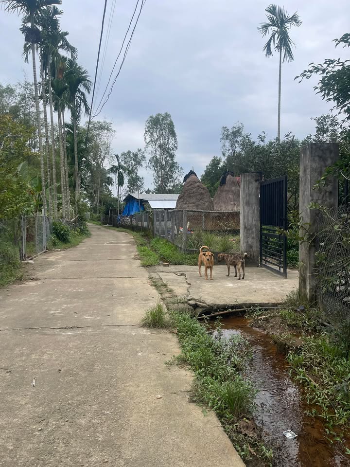 Đất thổ cư Thôn Ngọc Nam, Phường An Phú, Tam Kỳ 210m² giá 700 triệu - Vị trí đắc địa gần trung tâm!