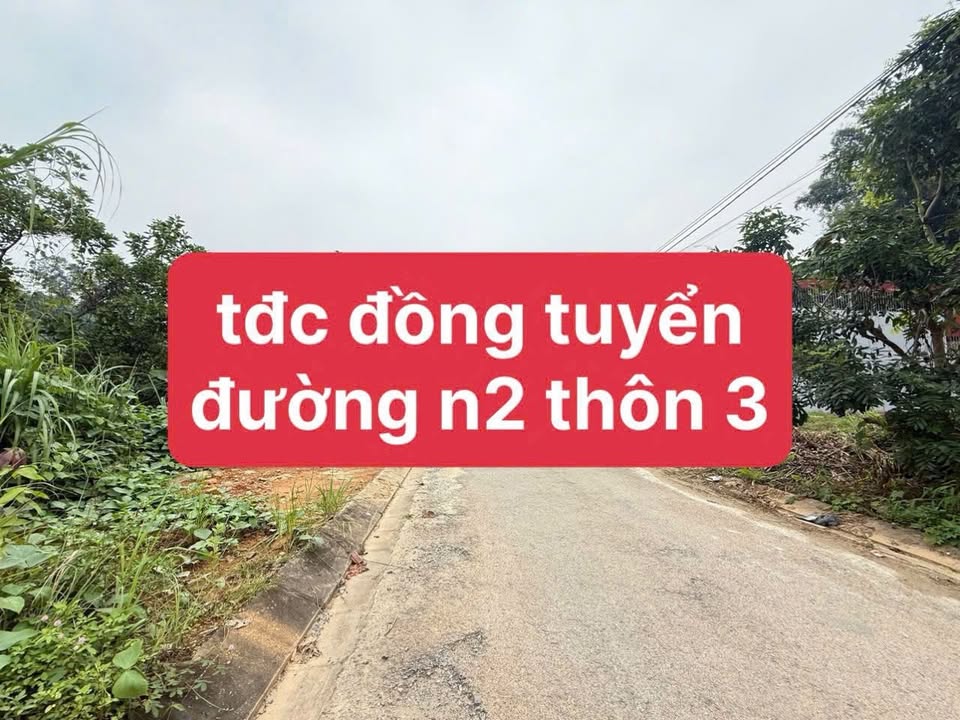 Đất nền thổ cư thôn 3 Đồng Tuyển 100m² giá 1.2 tỷ - Tiềm năng sinh lời cao!