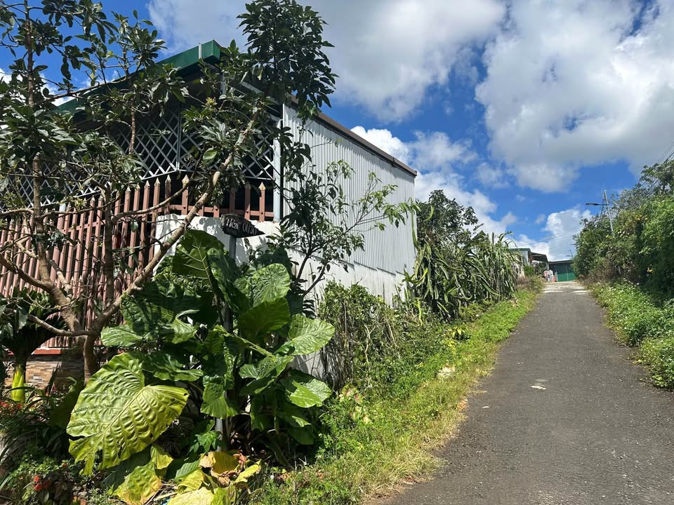 Đất nông nghiệp Bảo Lộc 260m² giá 1.55 tỷ - Gần trường Nguyễn Du!