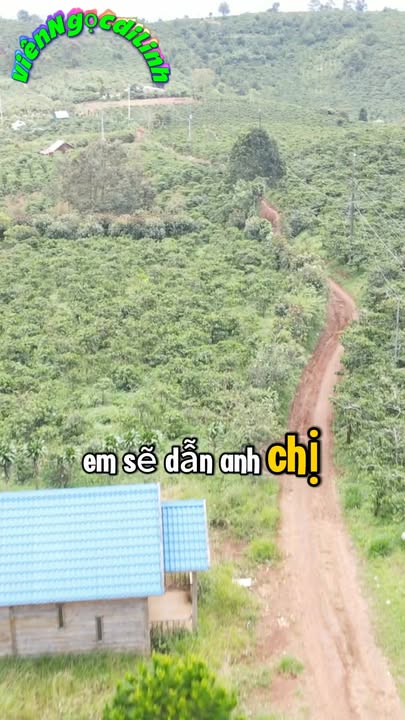 Đất nền 3 sào tại Tân Thượng, Di Linh - Cơ hội đầu tư tuyệt vời!