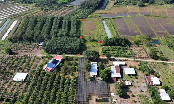 Đất nông nghiệp Bù Gia Mập 4.7 sào giá 600 triệu - Đầu tư sinh lời ngay!