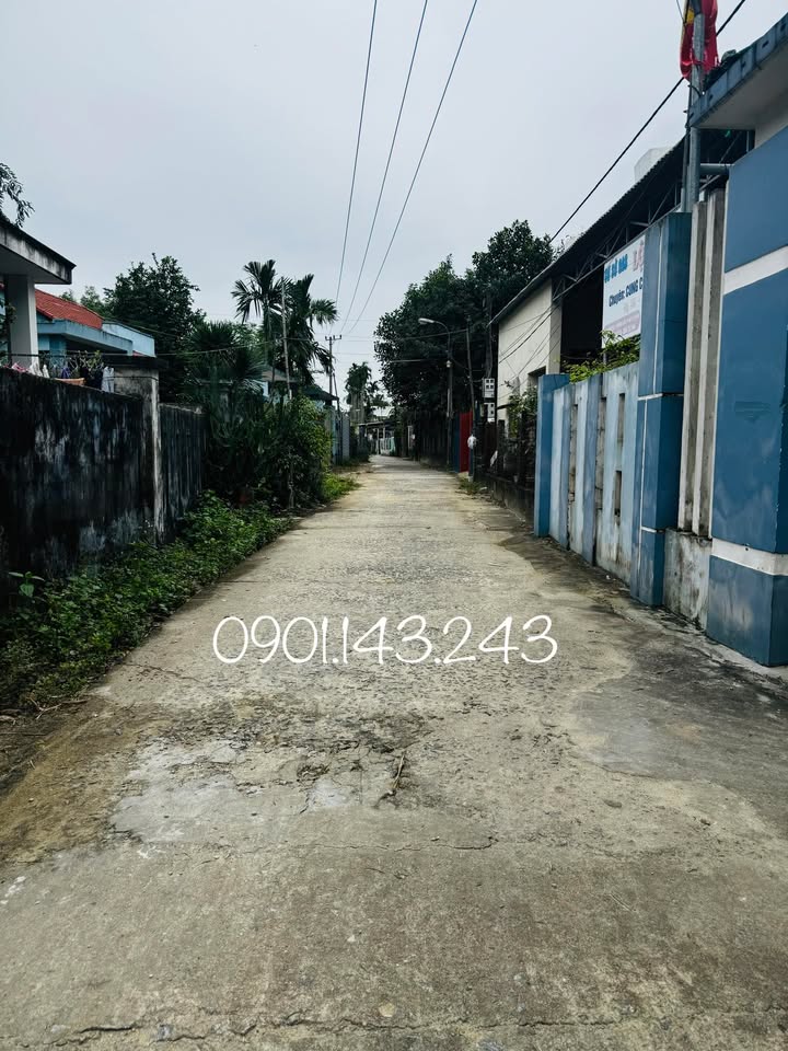 Đất nền Trường Xuân - Tam Kỳ 105m² giá 1 tỷ - Đầu tư lý tưởng!
