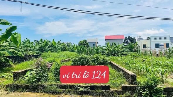 Đất thổ cư Phú Cát 124m² giá 2 tỷ - Đầu tư sinh lời nhanh chóng!