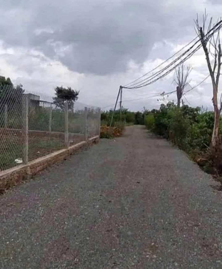 Đất nền Tân Hội, Đức Trọng 140m² giá chỉ 465 triệu - Sổ đỏ chính chủ!